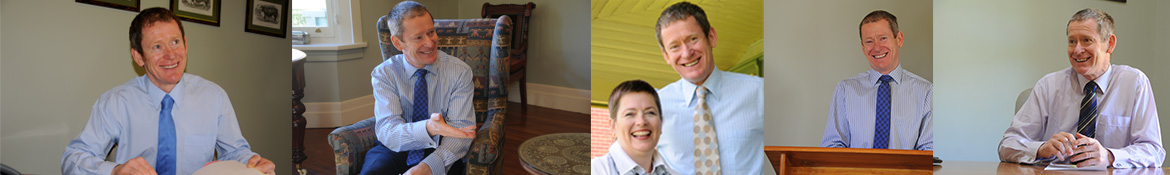 david gibney profile